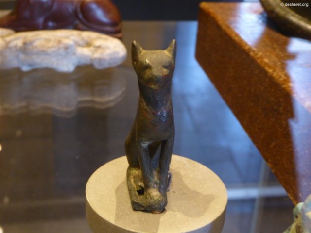 photo17.jpg