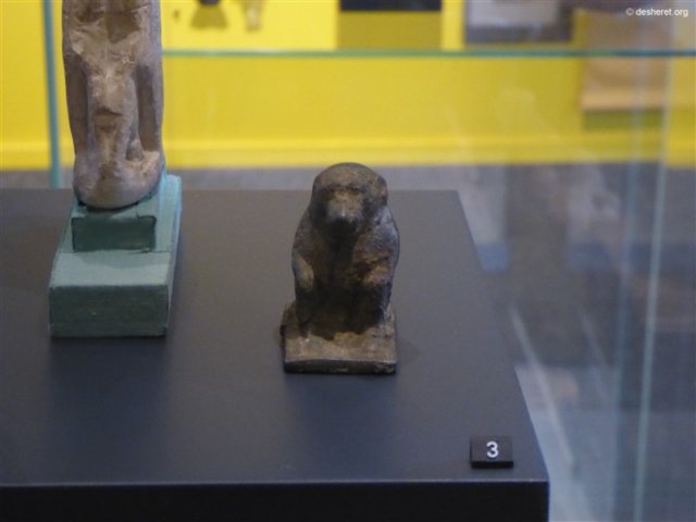 photo7.jpg