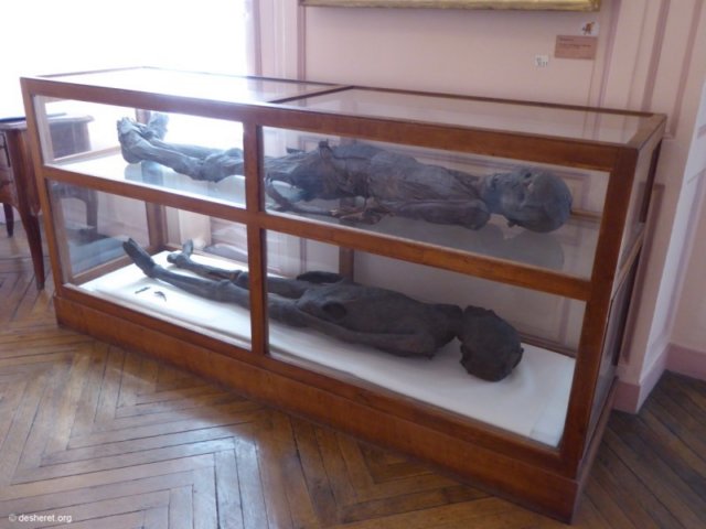 photo2.jpg