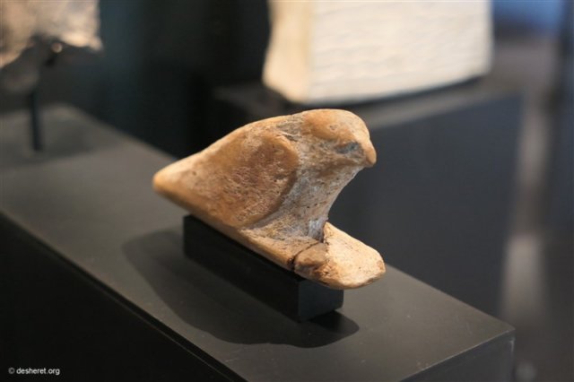 photo21.jpg