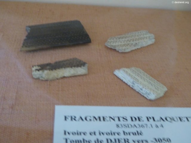 photo194.jpg