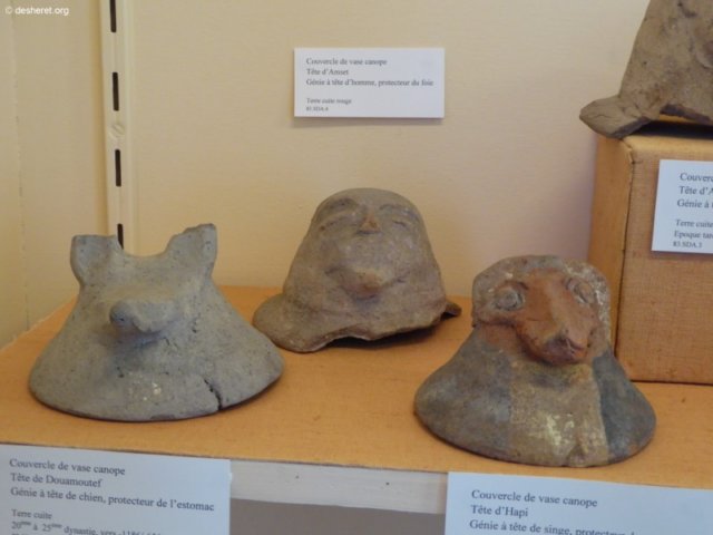 photo78.jpg