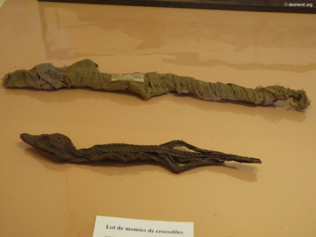 photo88.jpg