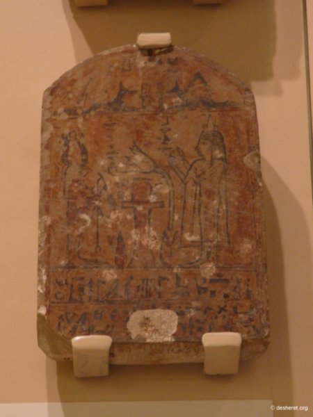 vivenel009.jpg