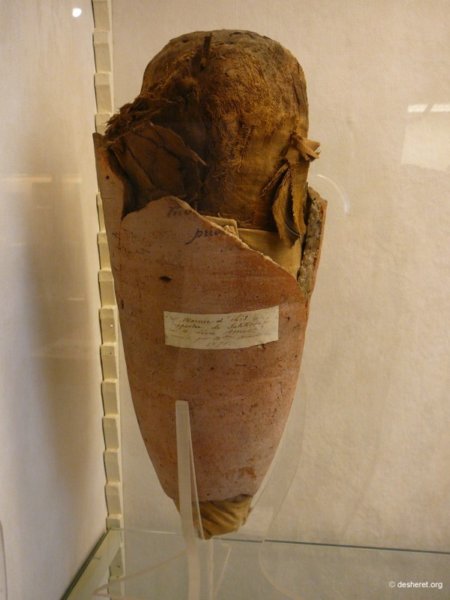 vivenel030.jpg