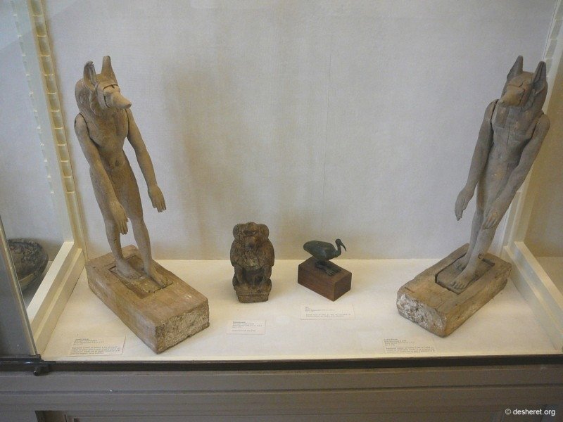 vivenel080.jpg