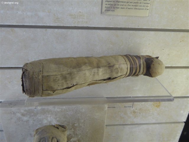 photo186.jpg
