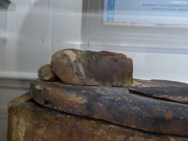 photo14.jpg