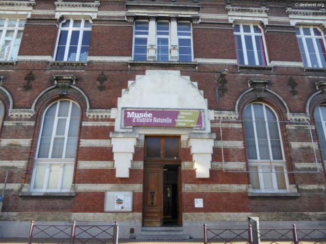 photo.jpg
