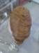 photo10_small.jpg