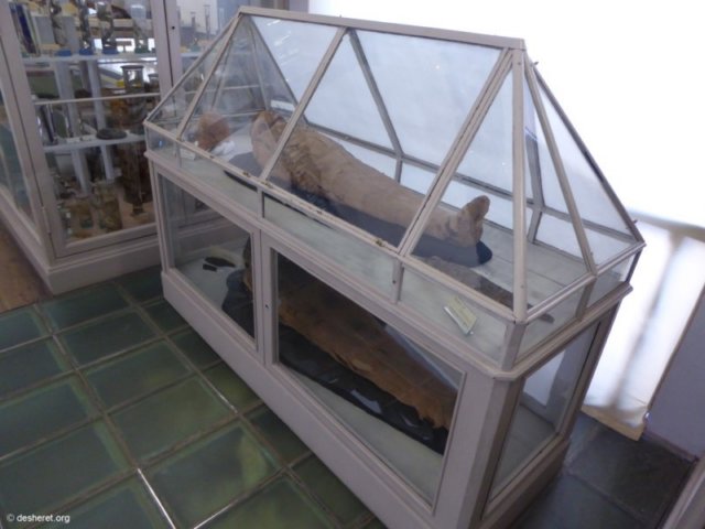 photo7.jpg