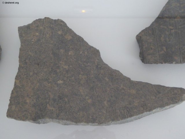 photo40.jpg