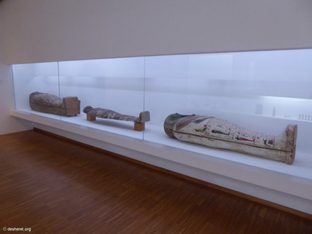 photo43.jpg
