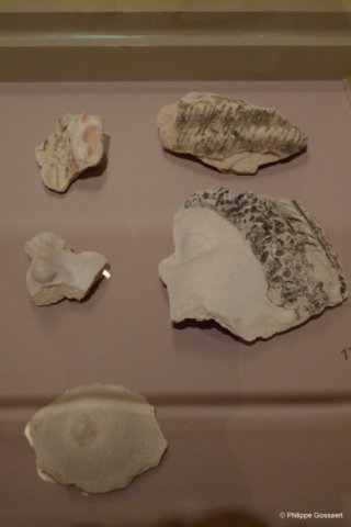 photo11.jpg
