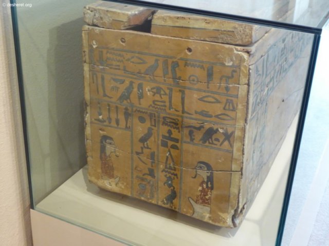 photo19.jpg