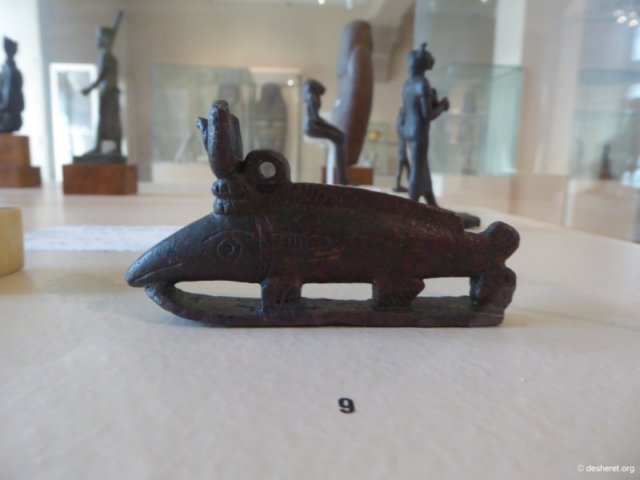 photo41.jpg