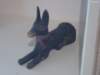photo93_small.jpg