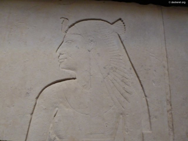 photo173.jpg