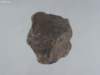 photo370_small.jpg