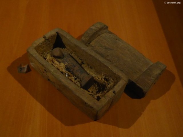 photo95.jpg
