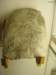 turin141_small.jpg