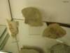 turin142_small.jpg