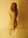turin145_small.jpg