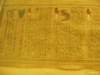 turin155_small.jpg