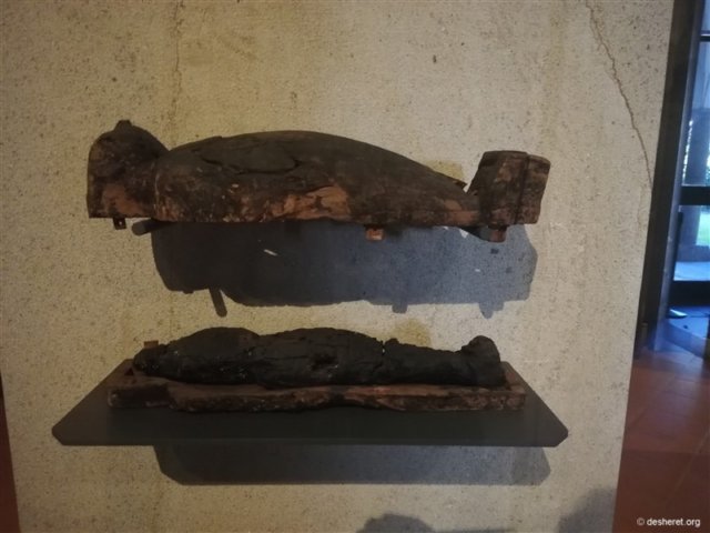 photo13.jpg