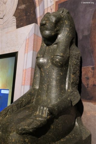 photo25.jpg