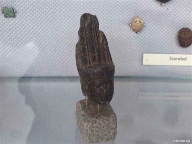 photo36.jpg