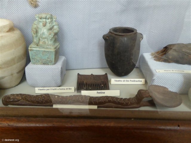 photo83.jpg