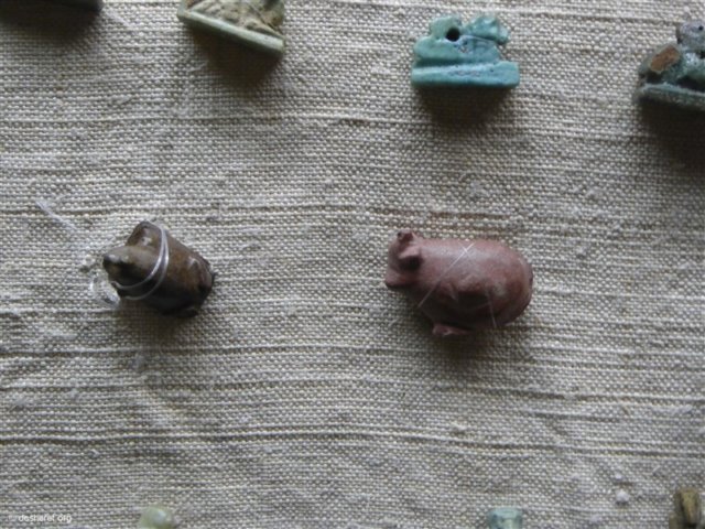 photo55.jpg
