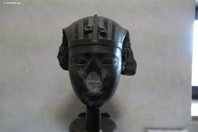 photo10.jpg
