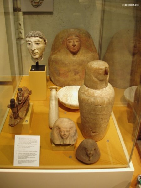 museon03.jpg