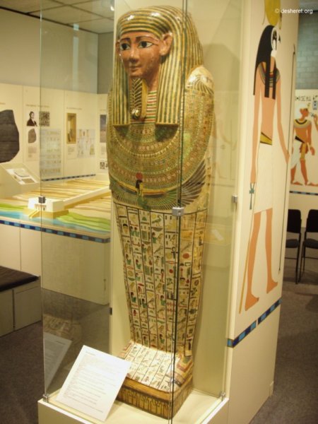 museon11.jpg