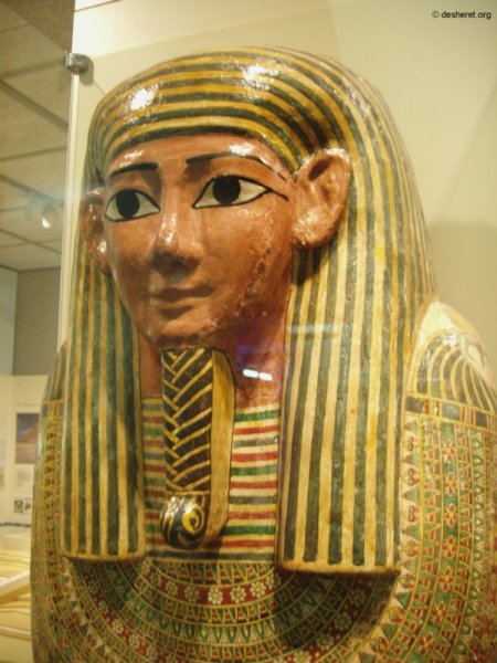 museon12.jpg