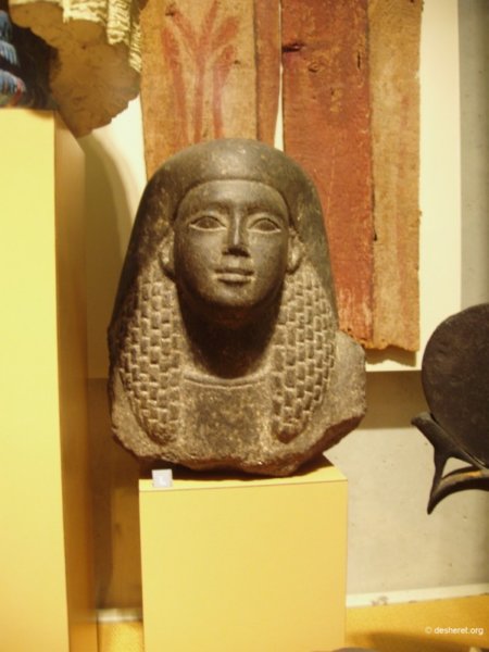 museon18.jpg