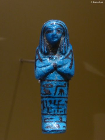 photo34.jpg