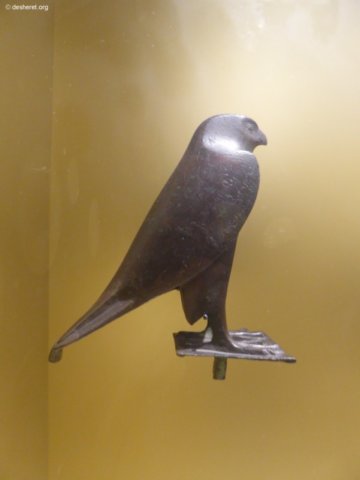 photo37.jpg