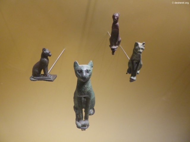 photo40.jpg