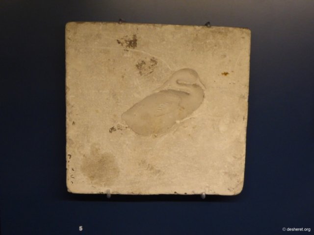 photo62.jpg