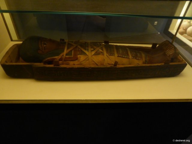 photo137.jpg