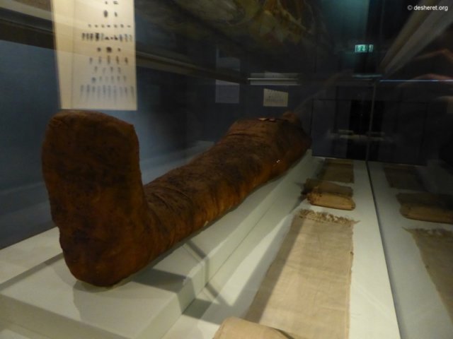 photo173.jpg