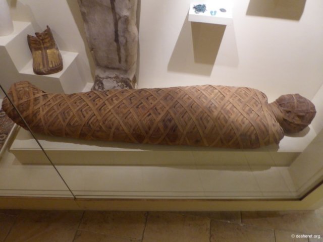 photo87.jpg
