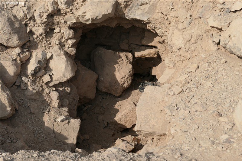 photo10.jpg