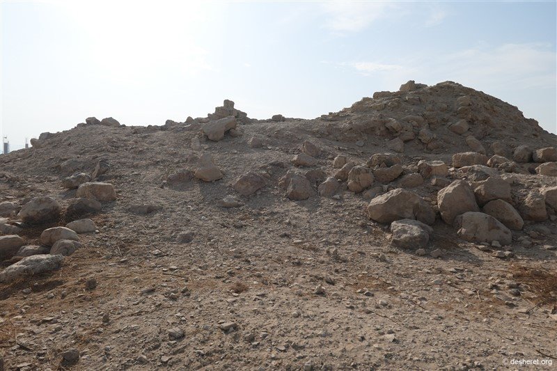photo12.jpg