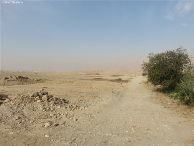 photo.jpg