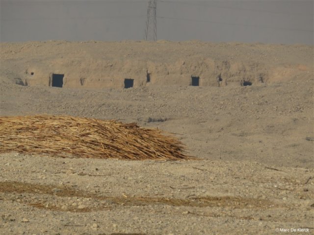 photo4.jpg