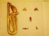 athens087_small.jpg